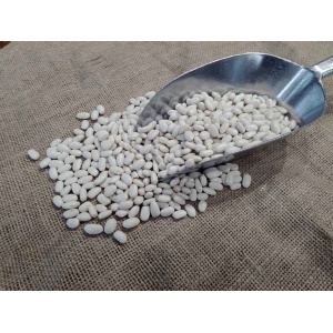 fasolia-metria-feneou-500gr_1239763720