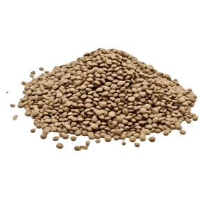 larissa-small-lentils-500g