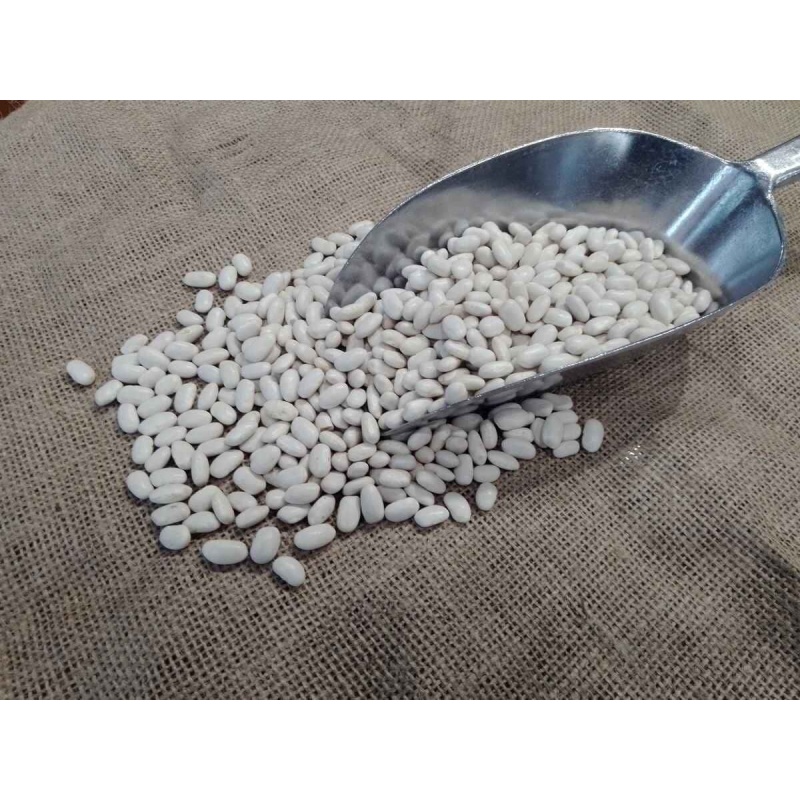 fasolia-metria-feneou-500gr_1239763720