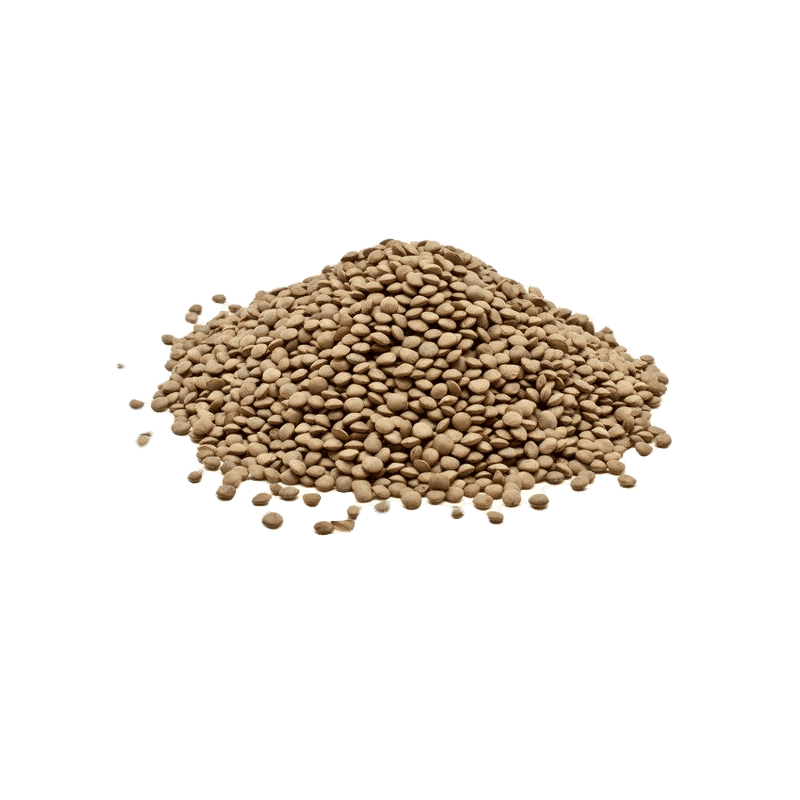 larissa-small-lentils-500g